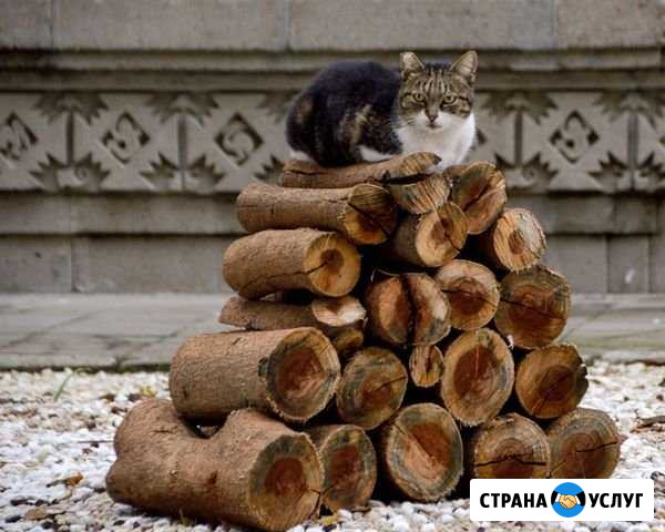 Дрова Сысерть - изображение 1
