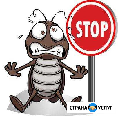 Уничтожение насекомых, тараканов, клопов, муравьев Комсомольск-на-Амуре - изображение 1