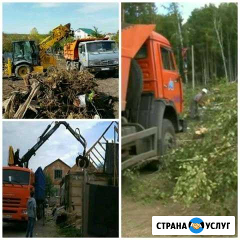 Спил деревьев Казань - изображение 1