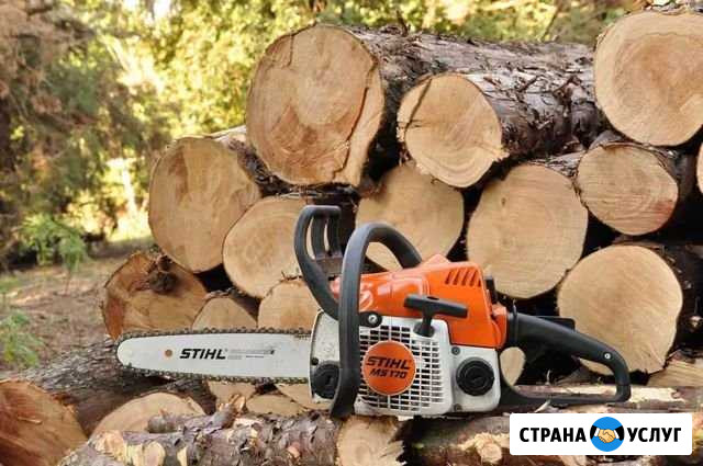 Вырубка деревьев Егорьевск - изображение 1