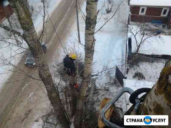 Спиливание деревьев любой сложности Лиски