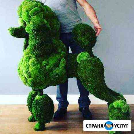 Стрижка собак всех пород, тримминг. Выезд на дом Москва