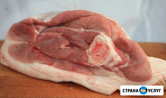 Свежее домашнее мясо,сало Елань - изображение 1