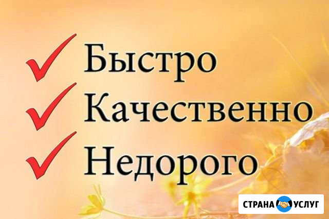 Вывоз мусора Владикавказ - изображение 1