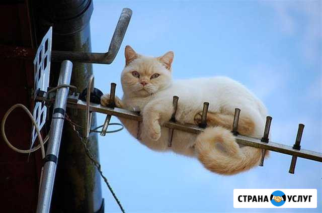 Ремонт,установка антенн+Мастер(муж) на час,электри Ростов-на-Дону - изображение 1