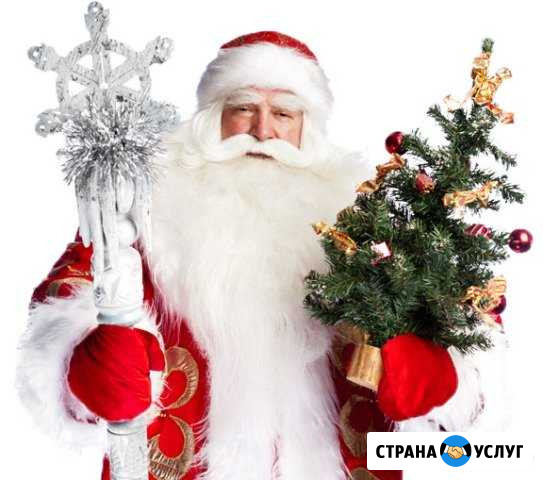 Дед Мороз) Светлогорск - изображение 1