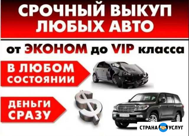 Выкуп авто. подбор авто Вологда - изображение 1