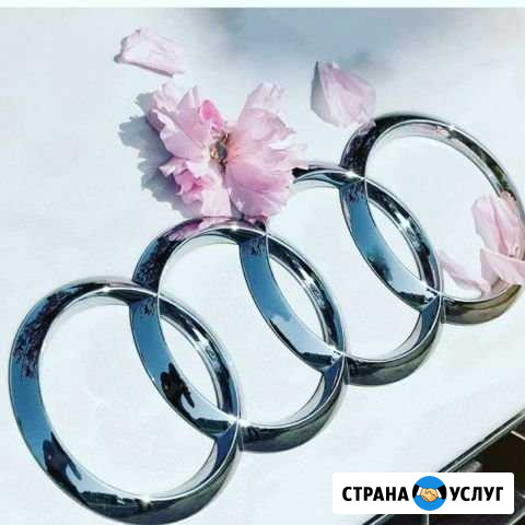 Ремонт авто VAG все виды работ Красноярск - изображение 1