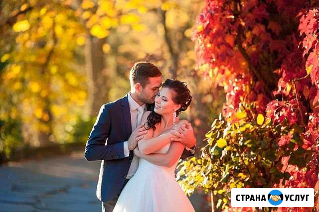 Фотограф Сергиев Посад - изображение 1