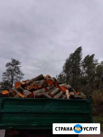 Дрова,горбыль Славск - изображение 1