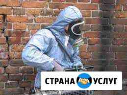 Дезинсекция уничтожение клопов муравьев Челябинск
