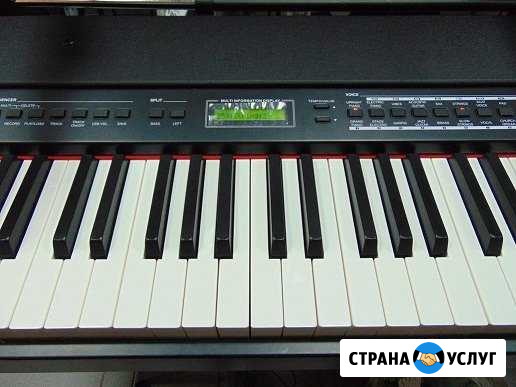 Репетитор по музыке Тосно - изображение 1