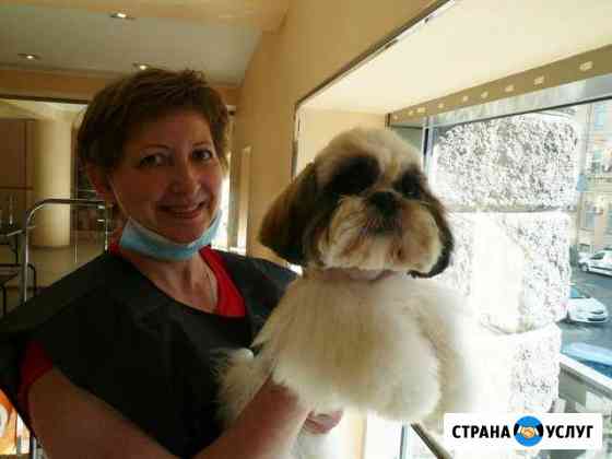 Стрижка кошек и собак с выездом на дом Пушкино