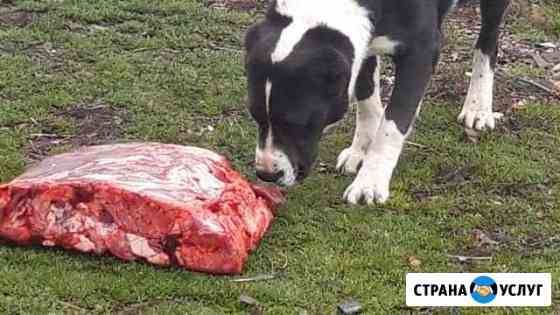 Свиные и говяжьи обрезы Мещовск
