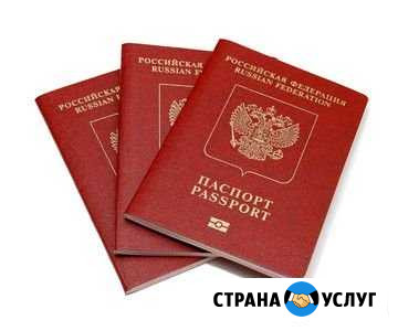 Оформление гражданство РФ Белгород - изображение 1