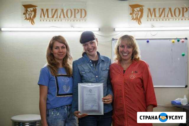Стрижка собак. Профессиональный груминг Новокуйбышевск - изображение 1