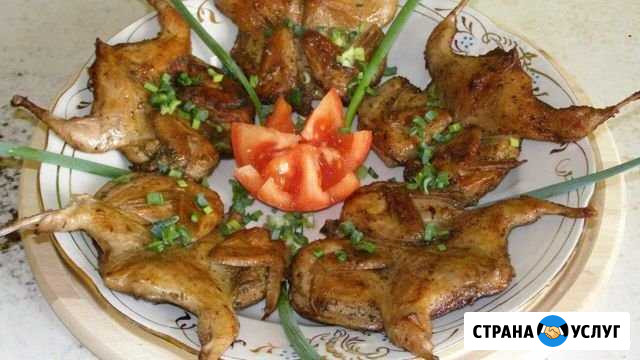 Продажа перепелов Бузулук - изображение 1