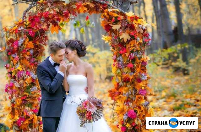 Фотограф Раменское - изображение 1