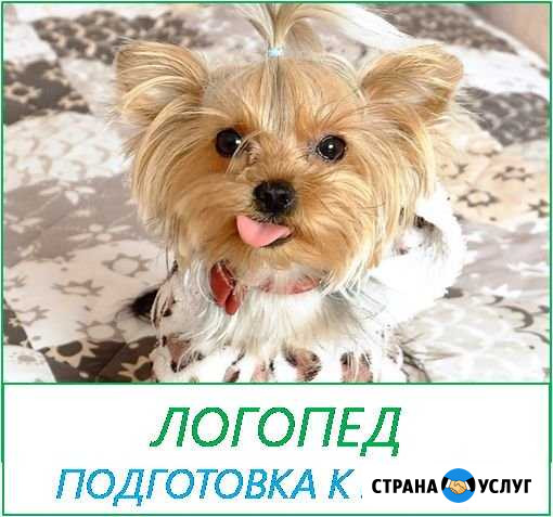 Услуги логопеда на дому, зондовый массаж Томск - изображение 1