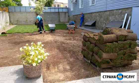Рулонный газон. Укладка газона Краснодар