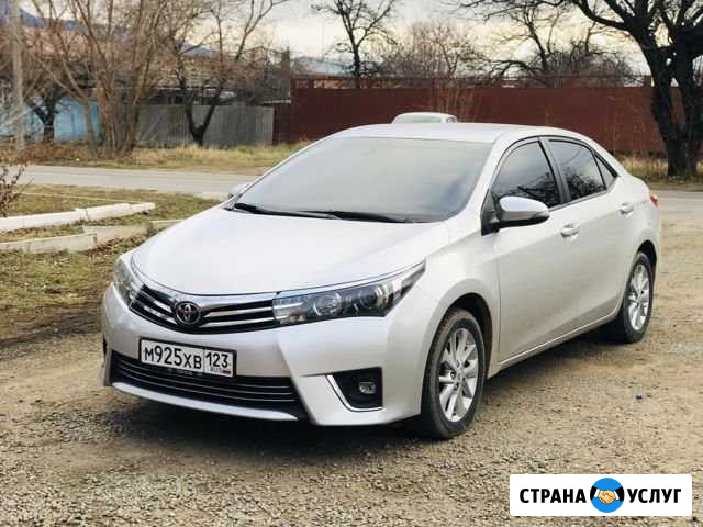 Аренда Авто с водителем Краснодар - изображение 1