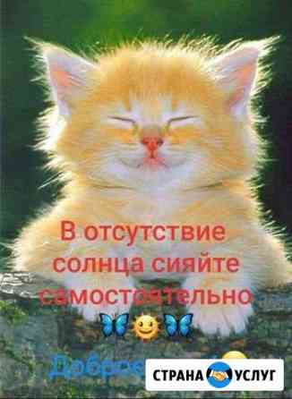 Обмен путевки в детский сад Сочи