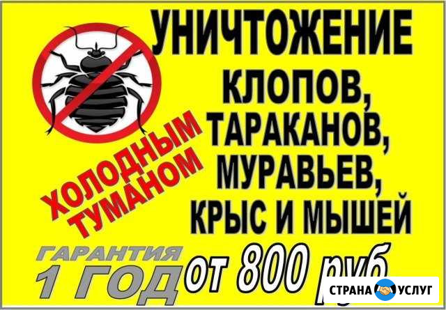 Уничтожение клопов, тараканов, клещей, комаров Бийск - изображение 1