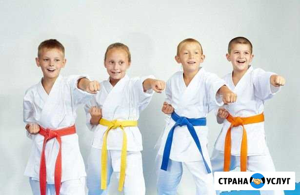 Каратэ для детей Пермь Пермь - изображение 1