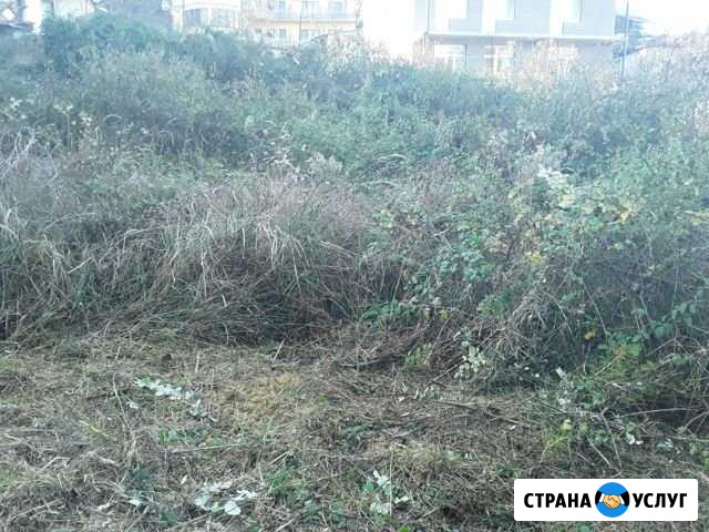 Расчистка участка спил деревьев Горное Лоо - изображение 1