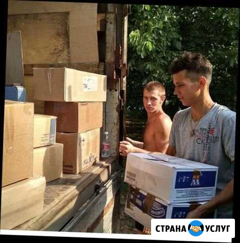 Грузчики Грузовое такси Волгоград - изображение 1