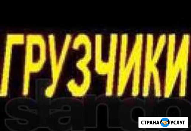 Услуги опытных грузчиков Чита - изображение 1