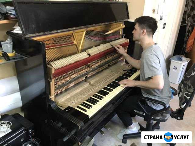 Настройка фортепиано (пианино) /рояля/ремонт Челябинск - изображение 1