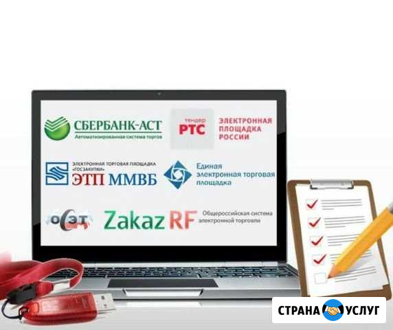 Тендерное сопровождение, Госзакупки Томск - изображение 1