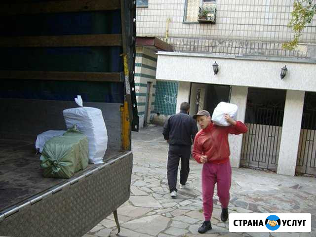 Два грузчика и Газель Новосибирск - изображение 1