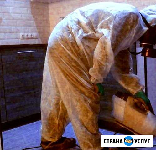 Уничтожение вредителей. Санитарная обработка Махачкала - изображение 1