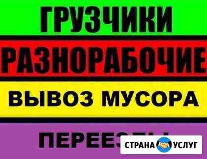 Грузчики Переезды Вывоз Мусора Разнорабочие Арзамас