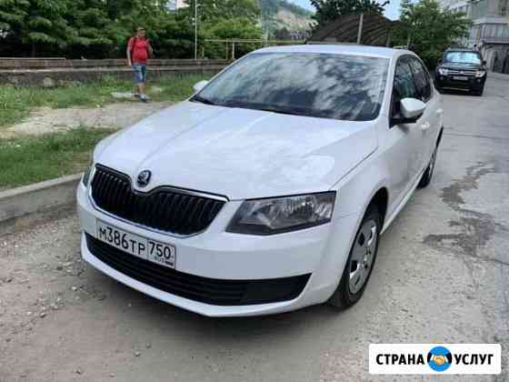 Аренда прокат Skoda Octavia Сочи