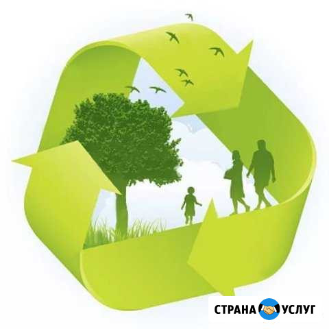 Скупка катализаторов и сажевых фильтров Вологда Вологда - изображение 1