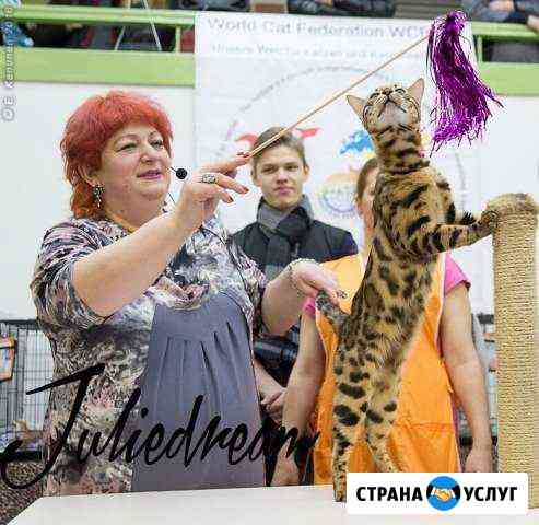 Вязка Санкт-Петербург