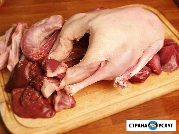 Мясо домашней птицы Зеленогорск - изображение 1