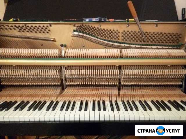 Настройка пианино Сургут - изображение 1