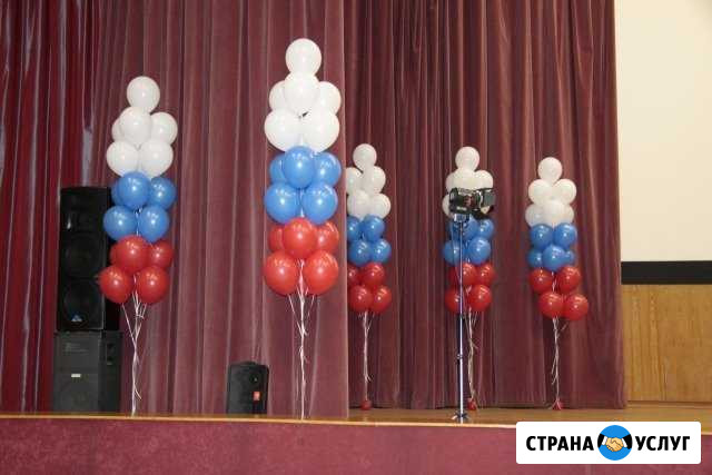 Оформление воздушными шарами Железногорск - изображение 1