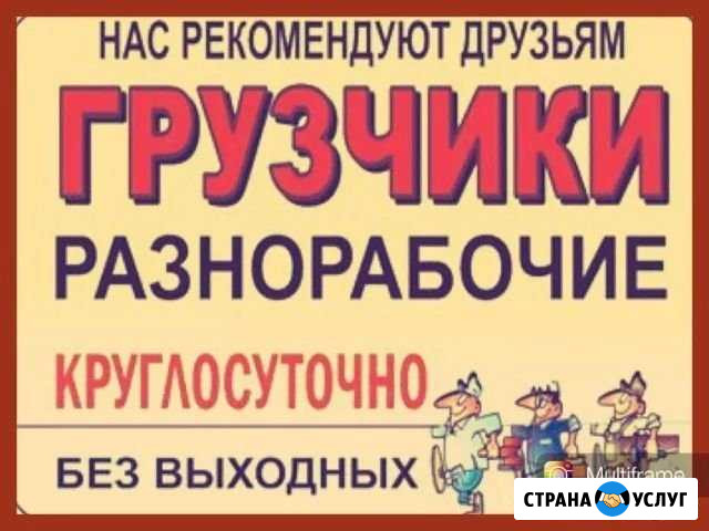 Русские грузчики Владимир - изображение 1