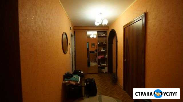 Мастер по ремонту квартир Хотьково - изображение 1