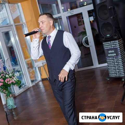 Музыкант, певец на новый год Анапа - изображение 1