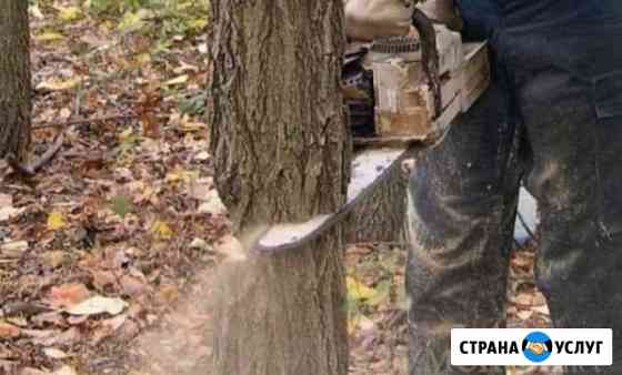 Вырубка,обрезка деревьев Загорянский