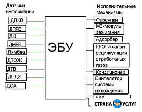 Ремонт и восстановление эбу Сургут