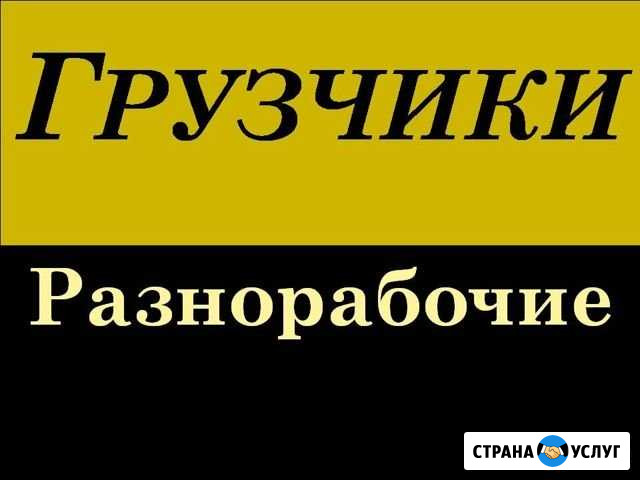 Грузчики Оренбург Оренбург - изображение 1