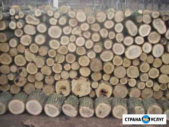 Дрова Акации Высокое
