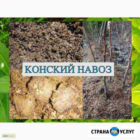 Лошединый навоз Калуга